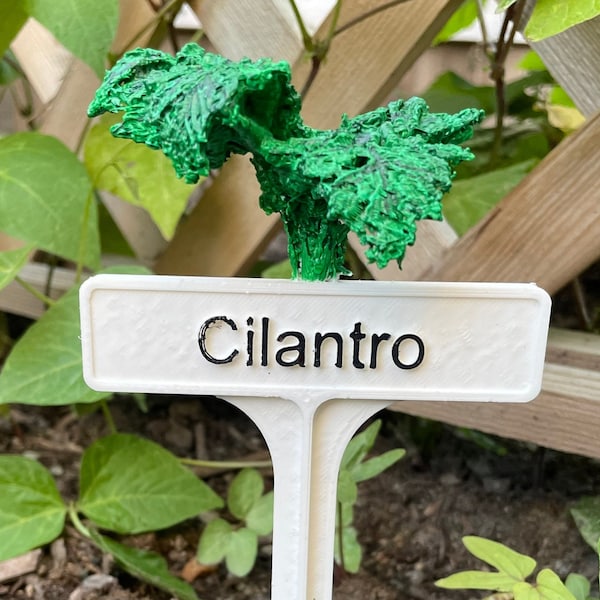 Hand Painted Plant Marker - Cilantro