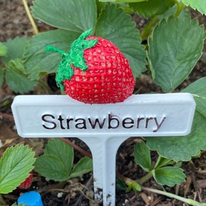 Hand Painted Plant Marker - Strawberry