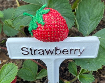 Hand Painted Plant Marker - Strawberry