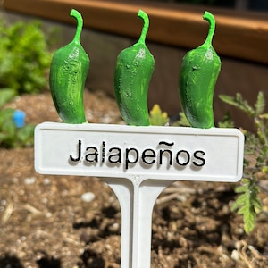 Marcador de plantas pintado a mano - jalapeños