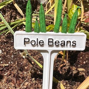 Hand Painted Plant Marker - Pole Beans