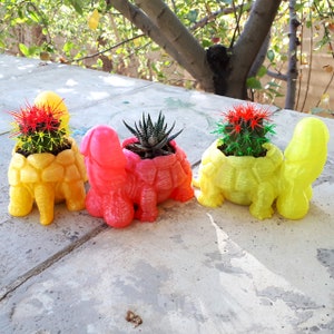 Puede incluir: Tres macetas con forma de tortuga de colores diferentes con suculentas. Las macetas son amarillas, rosas y rojas.