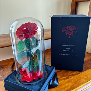 Rosa eterna en cúpula de cristal