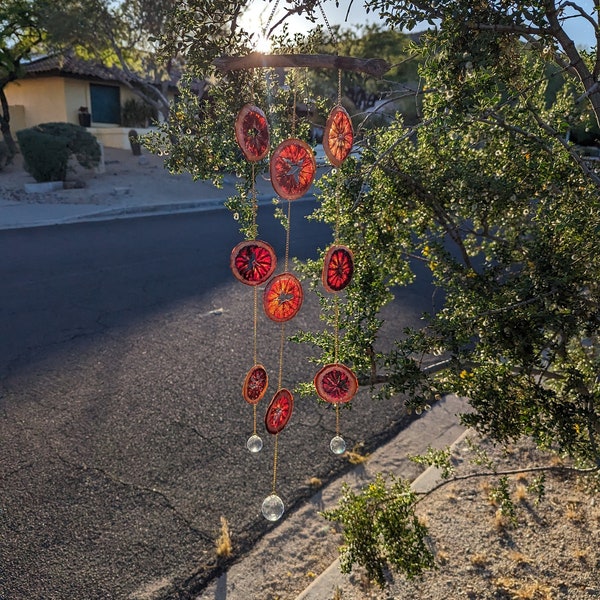 Blood Orange Crystal Suncatcher, dried orange garland, citrus decoration, rustic natural decor