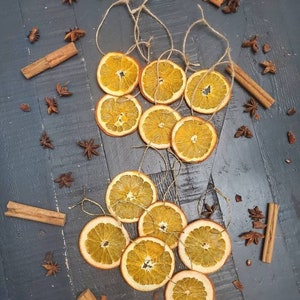 Dried Orange Ornaments, Gold Tan or Black Twine, Citrus Garland Christmas Decor, Boho Rustic Old World Tree Decoration, set of 6 OR 10 OR 20