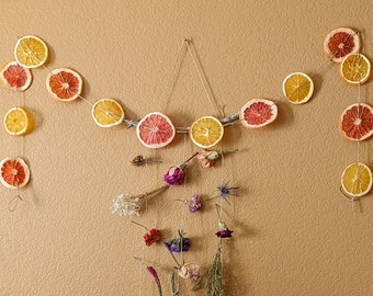 Grapefruit & Orange Handstrung Dried Citrus Garland, Suncatcher, Window Hanging, Rustic Autumn  Natural Home Decor, Boho Cottagecore Garland