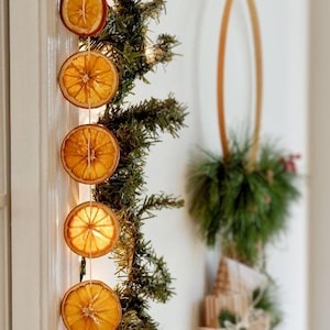 May include: A garland of dried orange slices and evergreen branches with white string lights. The garland is hanging on a white wall.