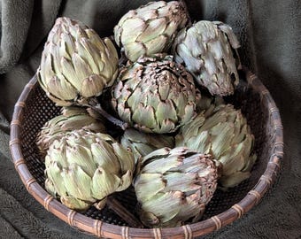 Williams Sonoma Herb & Vegetable Pasta Bowls Set of 4 Artichoke