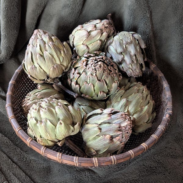 Alcachofas secas, relleno para cuencos, decoración rústica natural para el hogar, alcachofas deshidratadas auténticas
