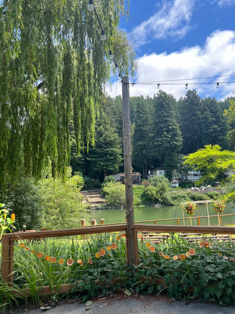 Grapefruit & Orange Handstrung Dried Citrus Garland Etsy