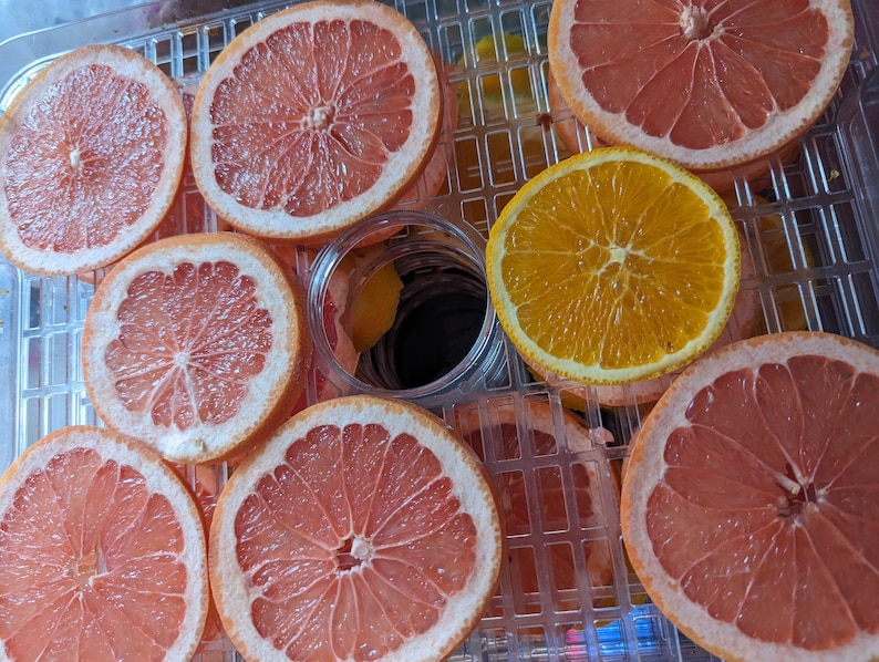 Grapefruit & Orange Handstrung Dried Citrus Garland Etsy