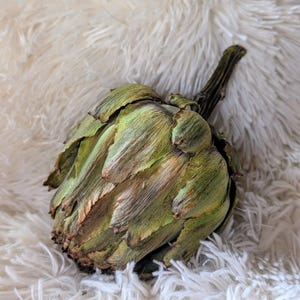 Dried Artichoke, Bowl Filler, Rustic Natural Home Decor, Real Dehydrated Artichokes