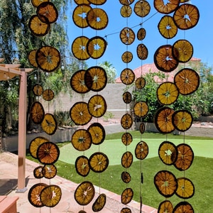 May include: Four vertical strands of dried orange slices suspended on thin string. Each strand features multiple circular, translucent, golden-brown citrus slices of varying sizes, showcasing the natural pulp texture and fibrous structure of the fruit.