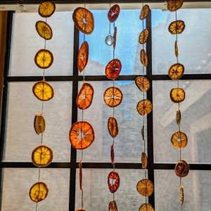 Dried Citrus Garland: grapefruit, lemon, lime, blood orange & navel orange, Real dehydrated fruit decoration, rustic natural suncatcher