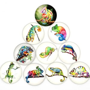 10 x Glas Cabochon Chamäleon Schmuck basteln 10 mm 12 mm 20 mm 25 mm #141