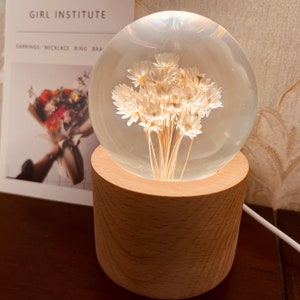 Immortal flower, Plant specimen, Night light,  Christmas gifts,  Crystal ball,  Resin crafts,  birthday gift