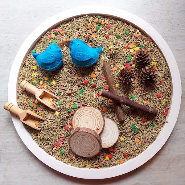 Bird Sensory Play Kit - PlayDay Crate Surplus, Limited Supply