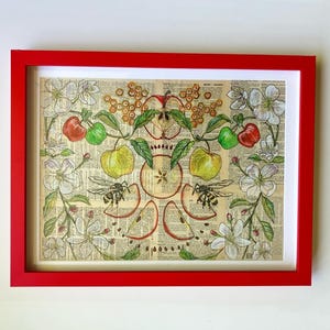 May include: A framed artwork featuring a botanical illustration of apples, flowers, and bees. The artwork is set against a backdrop of vintage book pages and framed in a vibrant red frame. The illustration includes red, green, and yellow apples.