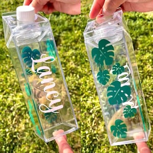 Plant / Green Leaf Milk Carton Bottle - 17 oz