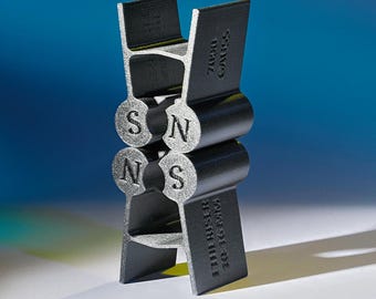 Può includere: Un modello di bussola magnetica stampato in 3D con le lettere "N" e "S" sui lati. La bussola è etichettata "7000 GAUSS" e "20-10C-10W F.L.THE RISER"