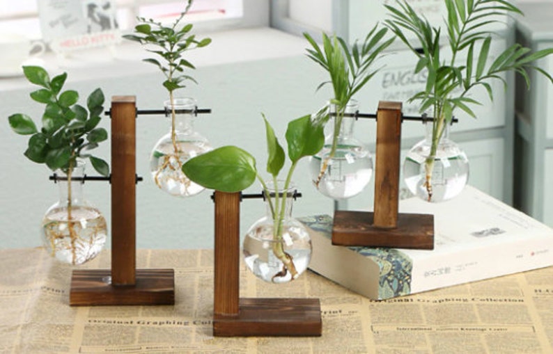 Desktop Hydroponic Growing Vase DIY Growing Vase Wooden Etsy UK