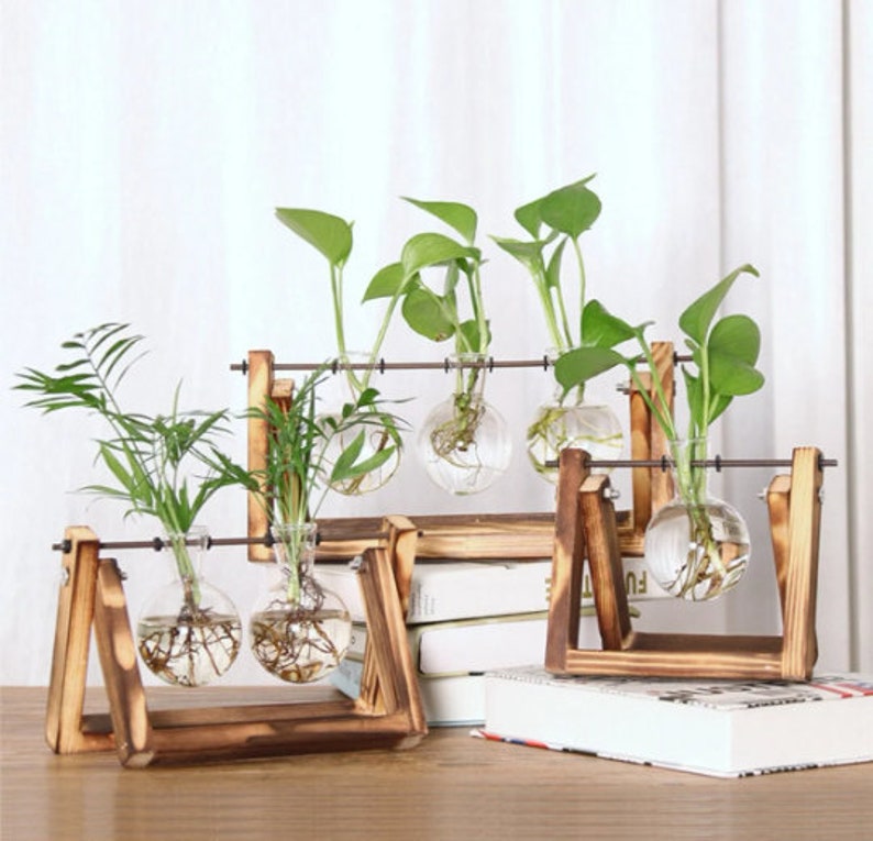 Desktop Hydroponic Growing Vase DIY Growing Vase Wooden Etsy UK