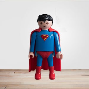 Playmobil Custom