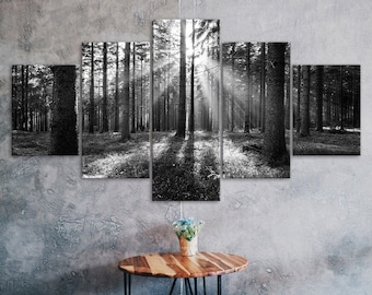 May include: A black and white photograph of a forest scene with sunbeams shining through the trees. The photo is split into five panels, creating a panoramic view of the forest.