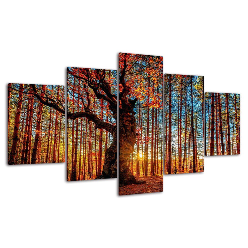 Forest Tree Sunset Scene 5 Piece Canvas Wall Art Multi Panel Print ...