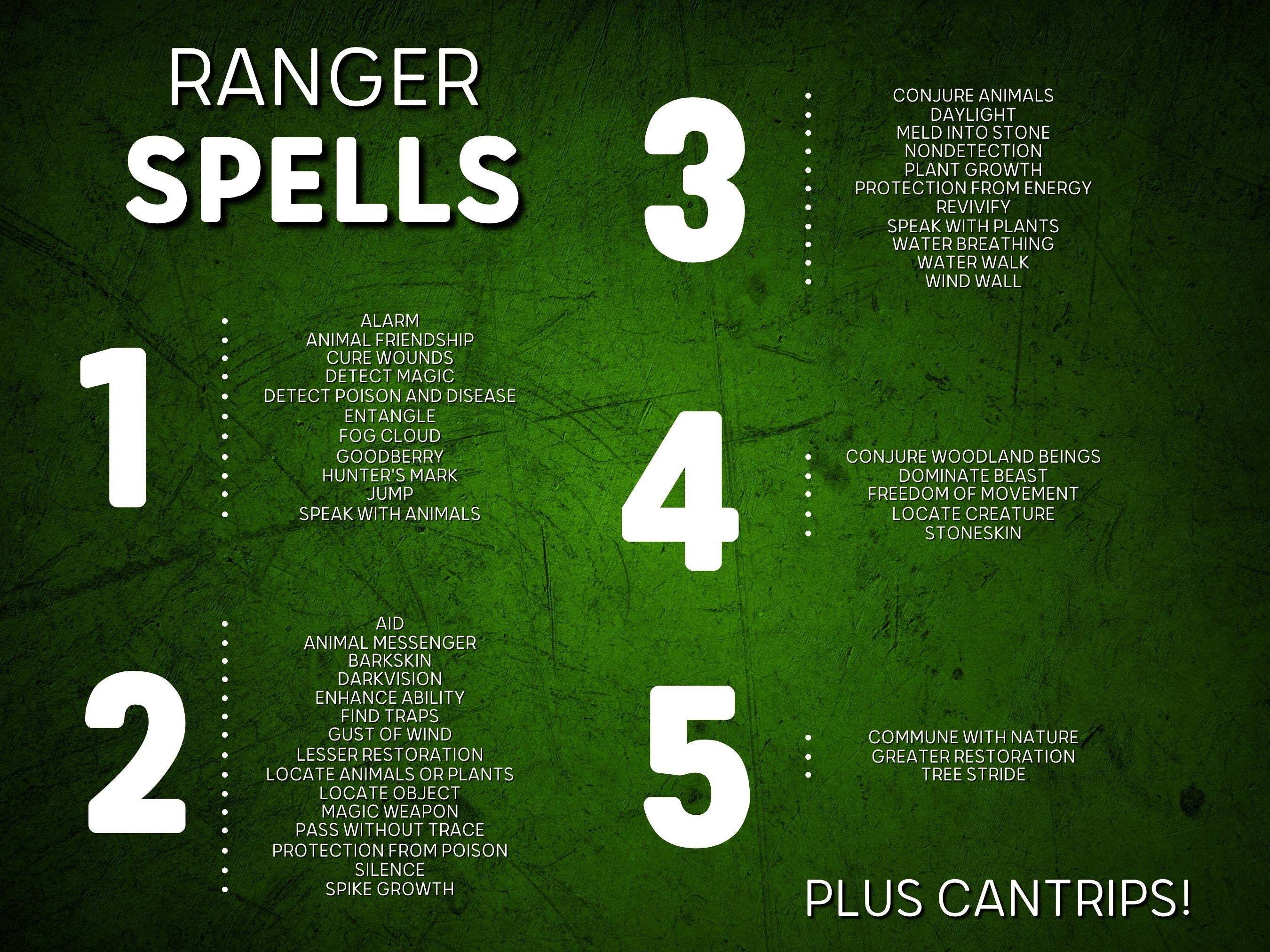 All Ranger Spells Dnd 5e Spell Cards Pdf for Rangers Printable Dnd Spell Book - Etsy