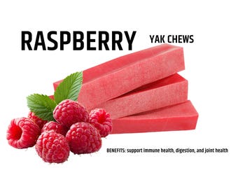 Raspberry Yak Chew: All-Natural Long-Lasting Dog Treat
