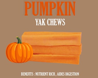 Pumpkin Yak Chew: All-Natural Long-Lasting Dog Treat