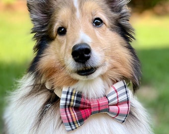 Plaid Dog Bow Tie, Fall Dog Bow Tie, Dog Bow Ties, Dog Bow Tie, Bow Tie