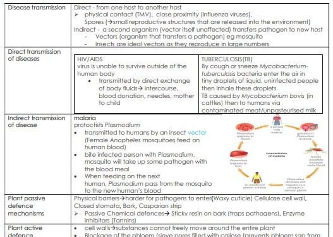 Communicable Disease and Immunity OCR A Level Biology Digital Notes - Etsy