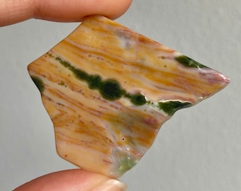 Colorful 8th Vein Orbicular Ocean Jasper Piece