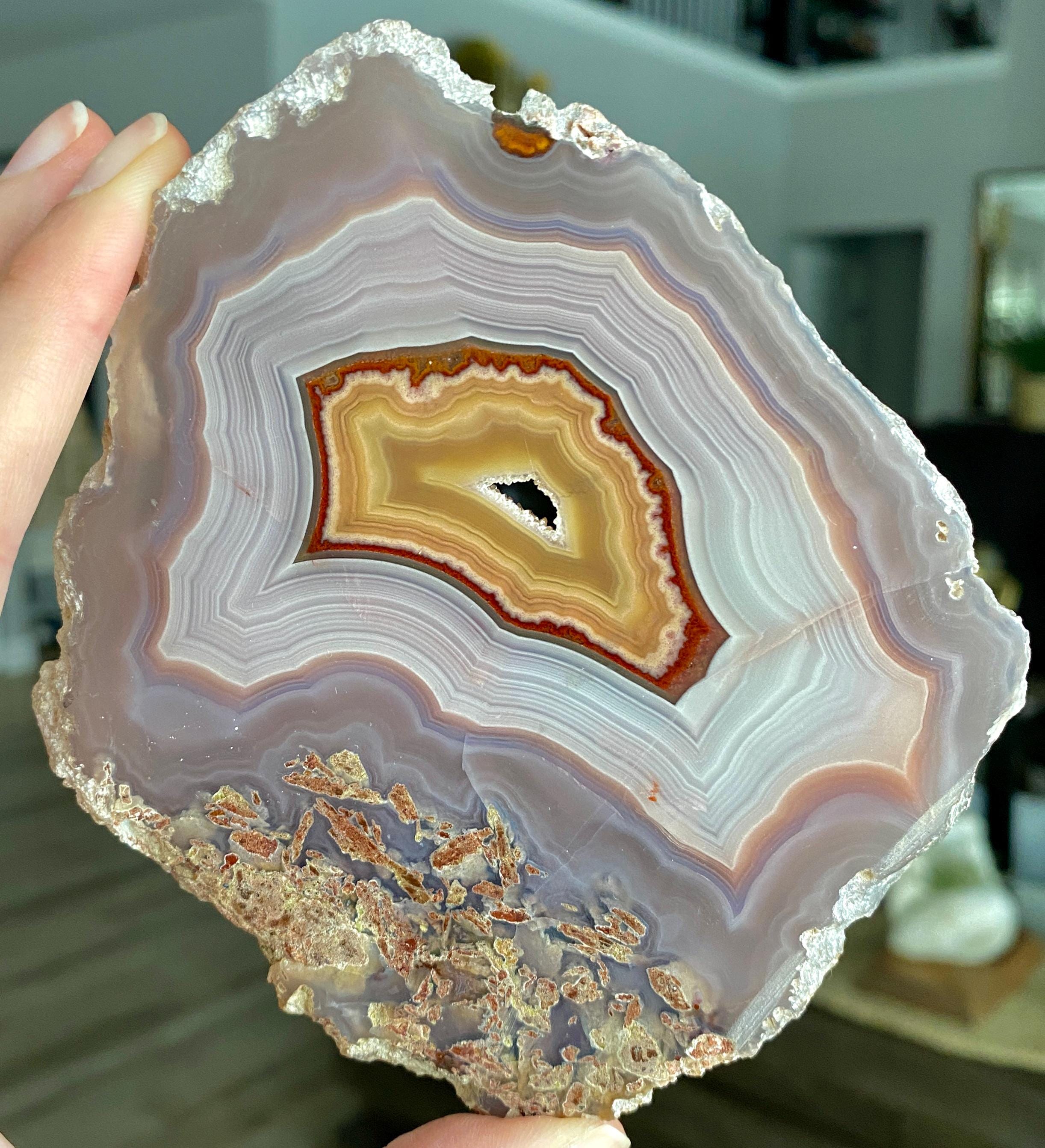 【コレクターズアイテム】ラグーナアゲート コレクターズアイテム】ラグーナアゲート AG317 Laguna Agate - The