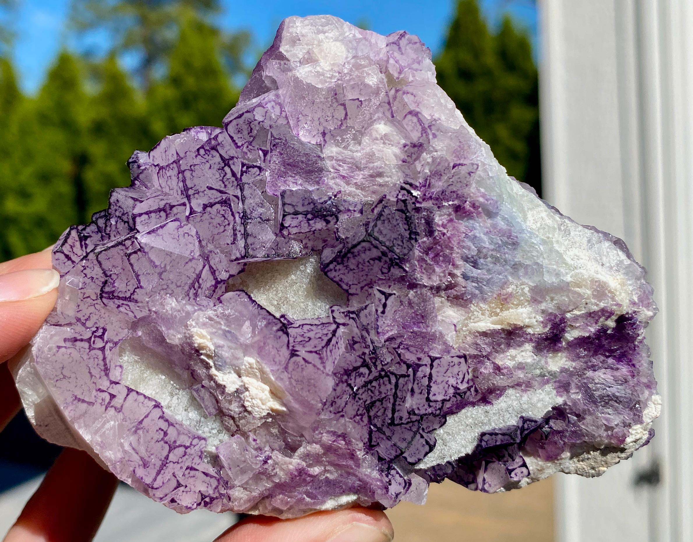 希少な「QRコード」パープルエッジフローライト - Etsy 日本