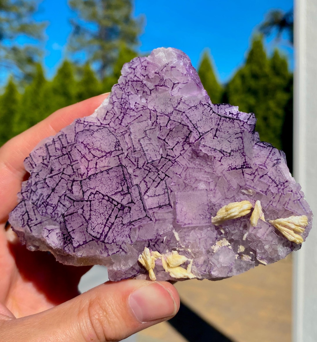 希少な「QRコード」パープルエッジフローライト - Etsy 日本