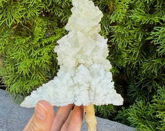 Wauw! Kubieke calciet druipsteenboom