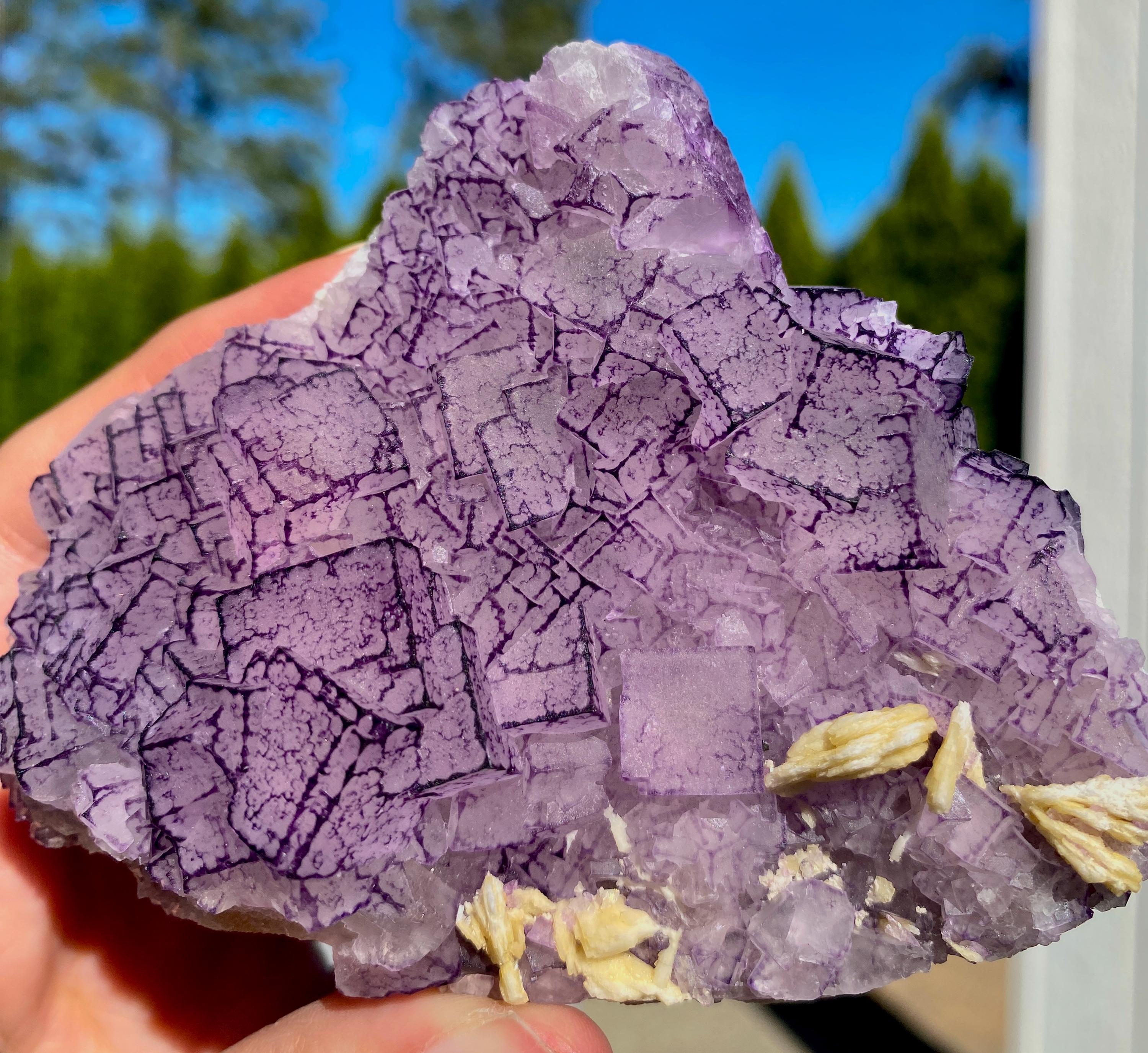 希少な「QRコード」パープルエッジフローライト - Etsy 日本