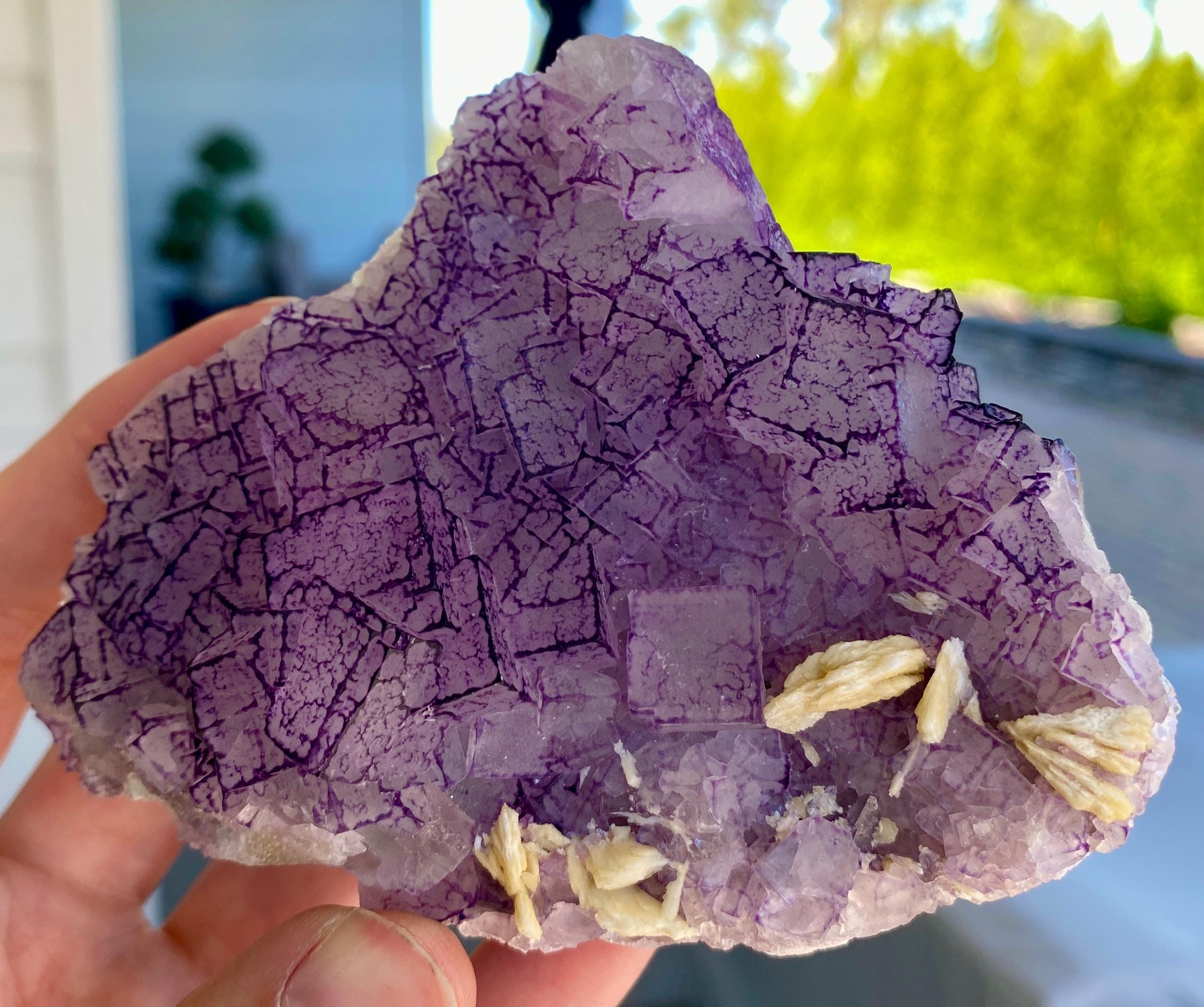 希少な「QRコード」パープルエッジフローライト - Etsy 日本