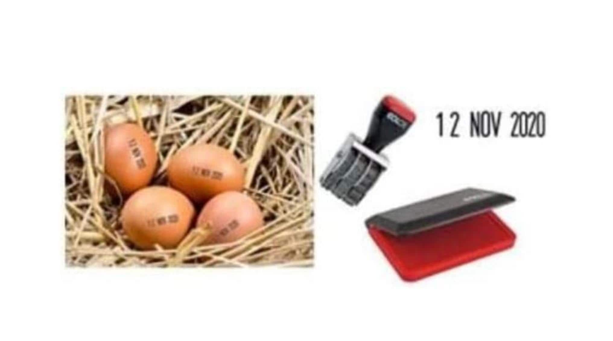 Egg Dater Pack Includes One X 3mm Mini Rubber Dater Stamp and One X Pre