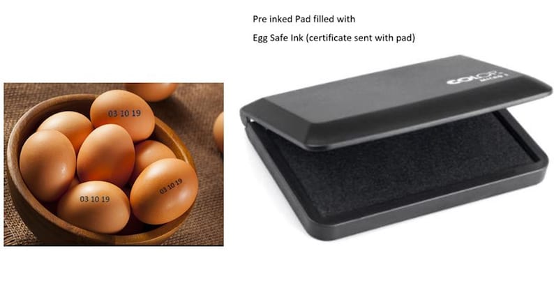 Egg Safe Food Grade Ink pad pre-Inked Ready to use Black image 1