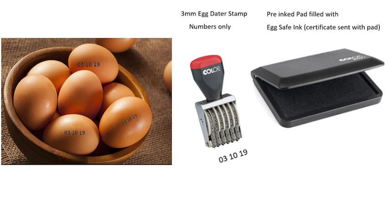 Sello de fecha de huevo 3 mm Solo números por ejemplo, 13 03 19 y Almohadilla de tinta segura para huevo Tinta negra imagen 1