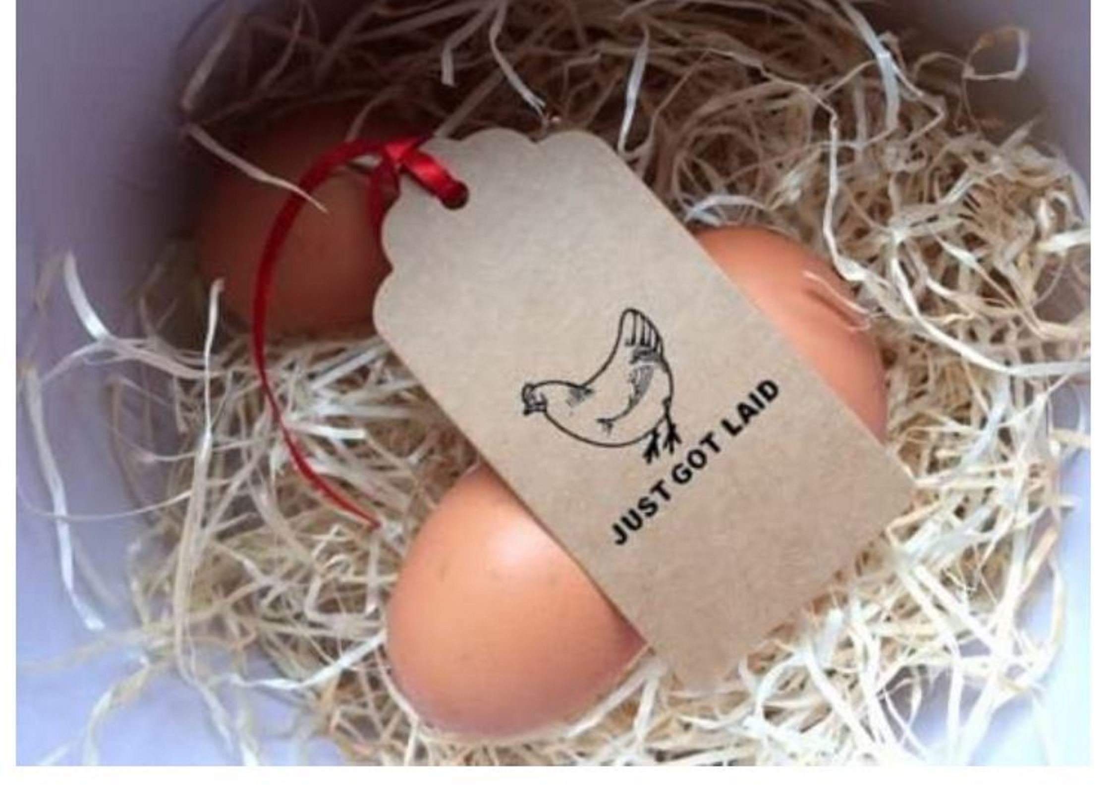 EGG CARTON STAMP Chicken Egg Stamp Date Wheel Fresh Farm Eggs