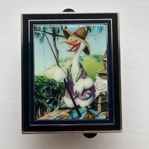 Disneys Splash Mountain Fantasy Pin Brer Goose Attraktion Porträt Foto Pin