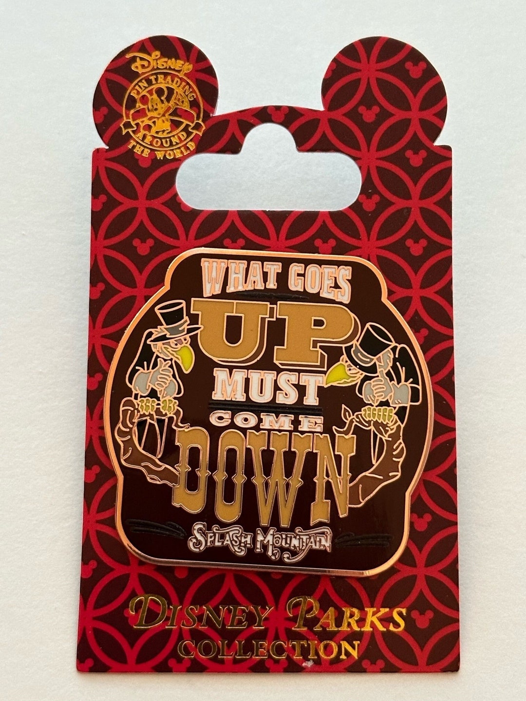 Disney's Splash Mountain Pin What Goes up Must Come Down Attraction