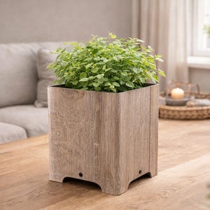 Puede incluir: Una jardinera cuadrada de madera con acabado de vetas de madera marrón claro, llena de plantas verdes vibrantes. La jardinera está sobre una mesa de madera. La estética general es natural y moderna. La jardinera mide unos 30 cm de alto.
