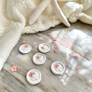 Rosa bebê, Conjunto de 12 adesivos, Lacre de cera, Autoadesivo, Revelação de gênero, Chá de bebê, Selo de carta personalizado, Convite, Carruagem vintage, Buggy