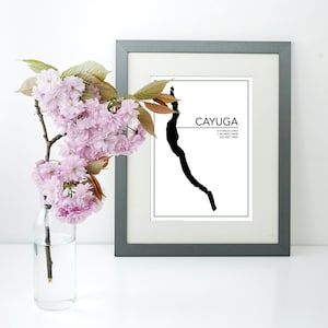 Cayuga Lake Fact Print